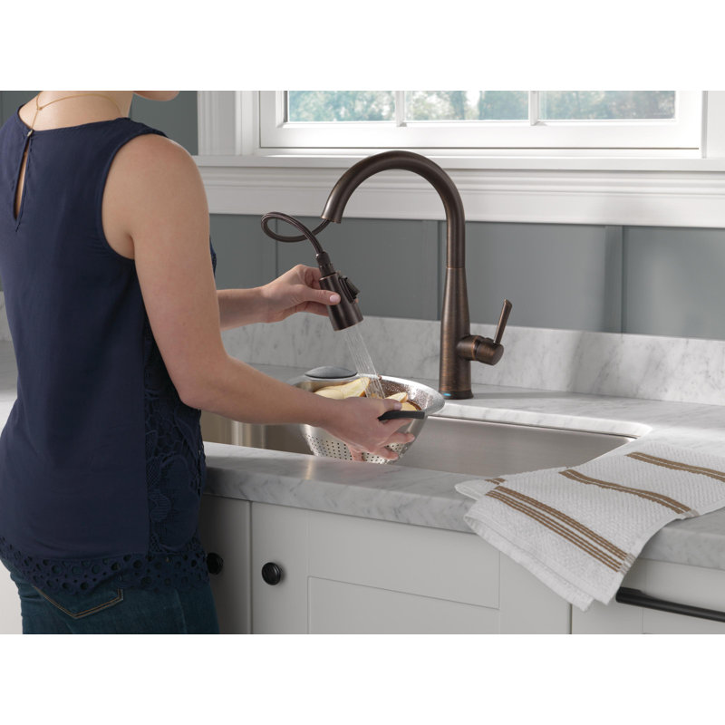 9113TDST,BLDST,ARDST Delta Essa Pull Down Touch Kitchen Faucet